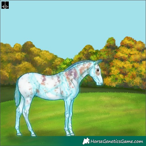 Horse Color:Nacre Thunderstruck Chestnut Sabino Varnish 