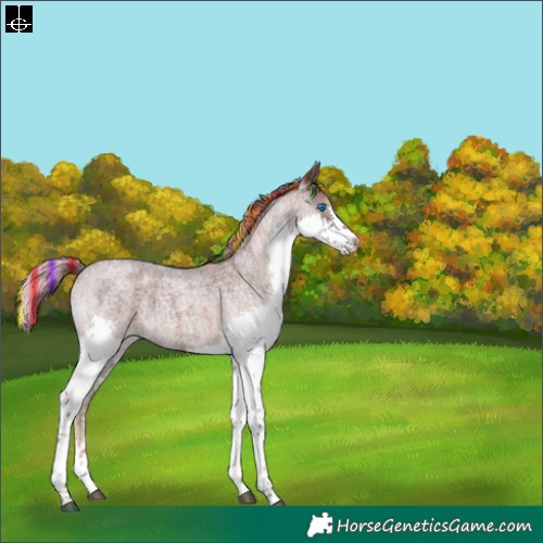 Horse Color:Painted Red Ice Roan Sabino Splash 