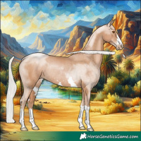Horse Color:Silver Black Pearl Rabicano