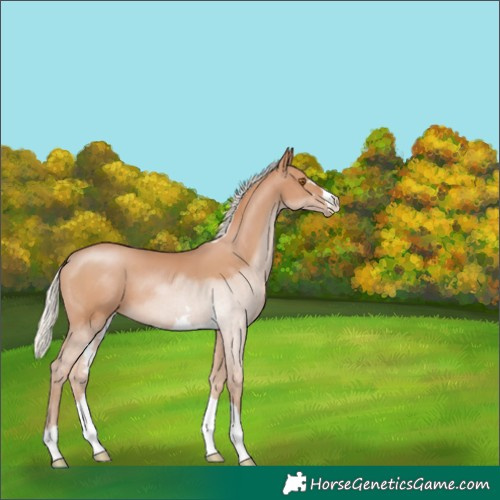 Horse Color:Silver Black Pearl 