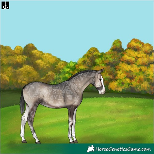 Horse Color:Blue Onyx Ice Splash Varnish 