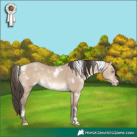 Horse Color:White Spotted Amber Champagne Dun Rabicano 