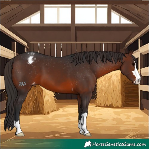 Horse Color:Brown Varnish