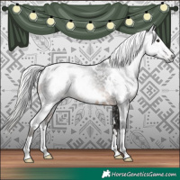 Horse Color:Gray White Spotted Silver Brown