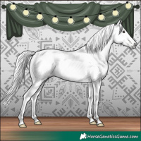 Horse Color:Gray White Spotted Silver Brown 