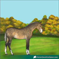 Horse Color:Silver Buckskin Dun Mushroom Sabino