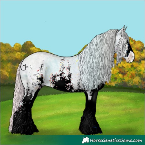 Horse Color:ERROR: UNKNOWN ANOMALY
