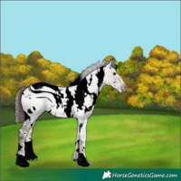 Horse Color:ERROR: UNKNOWN ANOMALY