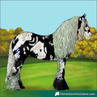 Horse Color:ERROR: UNKNOWN ANOMALY