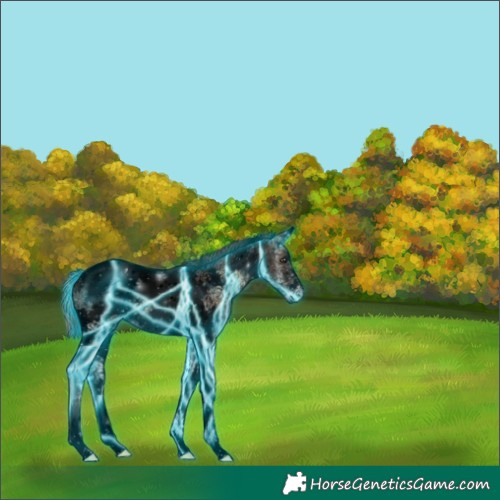 Horse Color:Void Thunderstruck Red Onyx Ice Tobiano Frame 