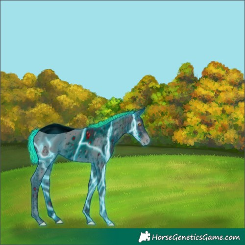 Horse Color:ERROR: UNKNOWN ANOMALY