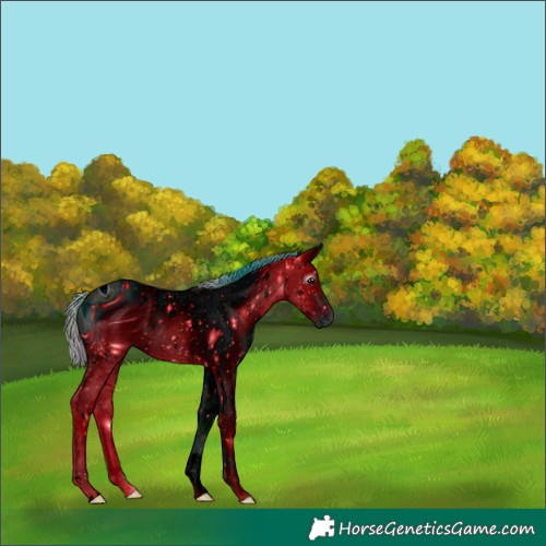 Horse Color:ERROR: UNKNOWN ANOMALY
