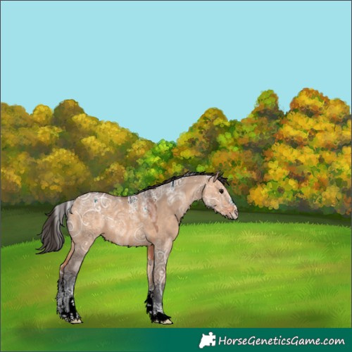 Horse Color:Powder White Bay Ice Dun Rabicano 