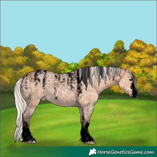 Horse Color:Powder White Void Silver Bay Ice Dun Rabicano 
