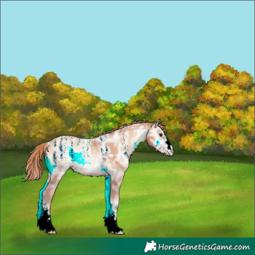 Horse Color:Unknown 