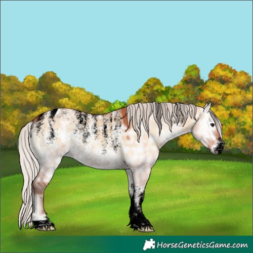 Horse Color:Powder White Void Silver Bay Ice Onyx Rabicano 