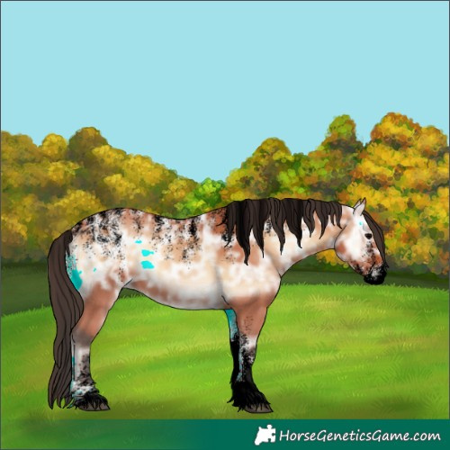 Horse Color:Powder White Void Bay Ice Onyx Rabicano 