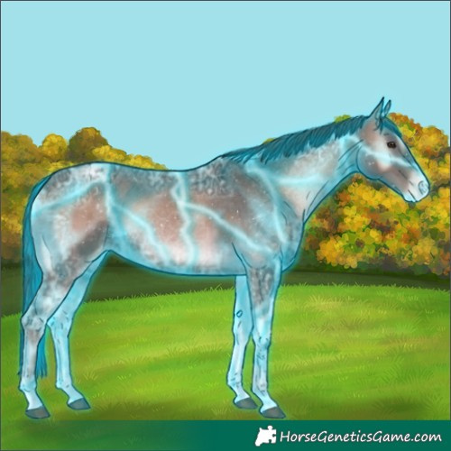 Horse Color:Thunderstruck Liver Red Onyx Ice Appaloosa