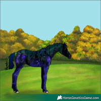 Horse Color:ERROR: UNKNOWN ANOMALY