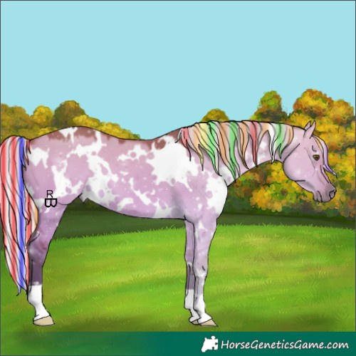 Horse Color:Painted White Spotted Silver Bay Dun
