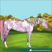 Horse Color:Painted White Spotted Silver Bay Dun