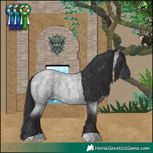 Horse Color:Blue Roan 