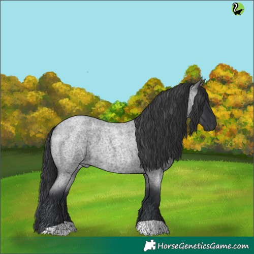 Horse Color:Blue Roan 