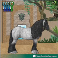 Horse Color:Blue Roan 