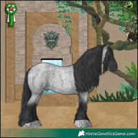 Horse Color:Blue Roan 