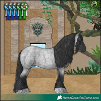 Horse Color:Blue Roan