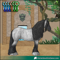 Horse Color:Blue Roan