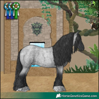 Horse Color:Blue Roan 