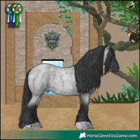 Horse Color:Blue Roan