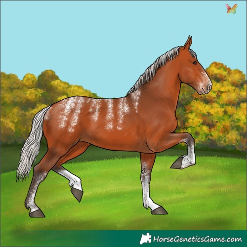 Horse Color:Powder White Silver Bay 