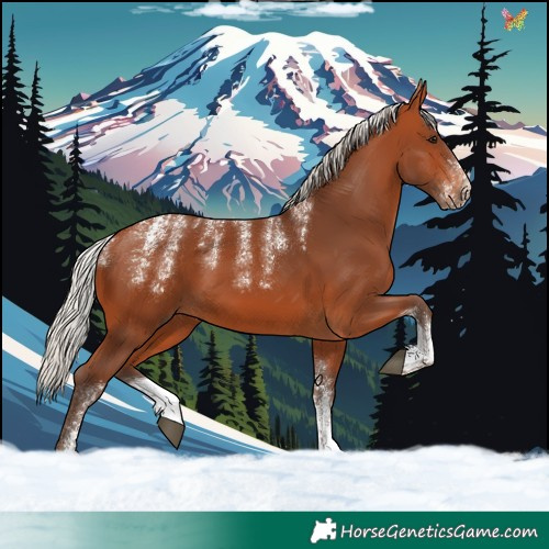 Horse Color:Powder White Silver Bay