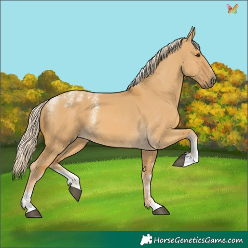 Horse Color:Powder White Palomino Dun 