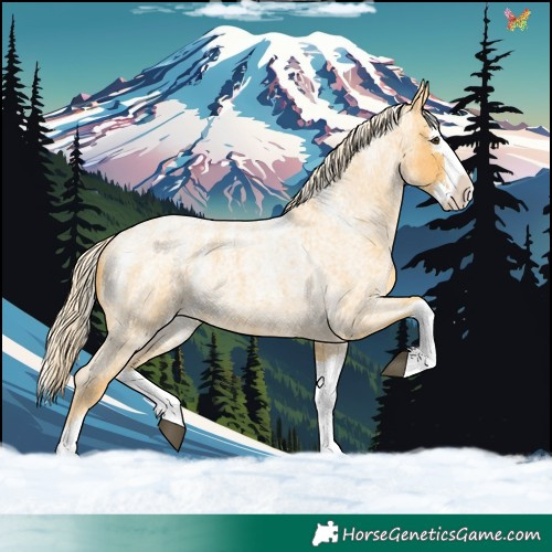 Horse Color:Powder White Palomino Roan Splash 