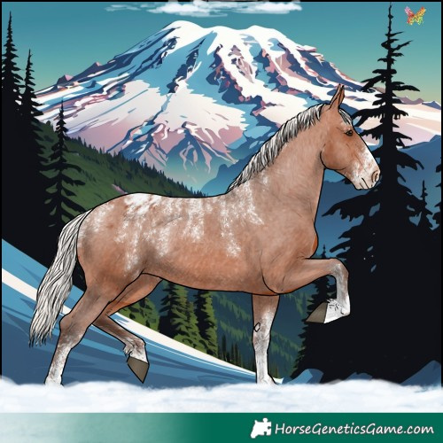 Horse Color:Powder White Silver Bay Varnish Rabicano