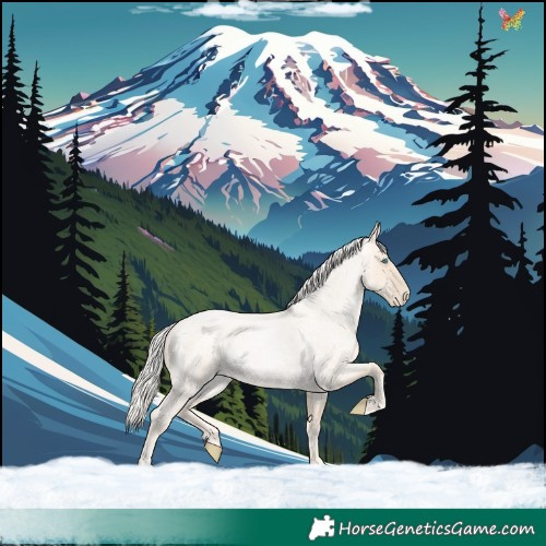 Horse Color:Gold Cream Champagne Roan Pearl Rabicano