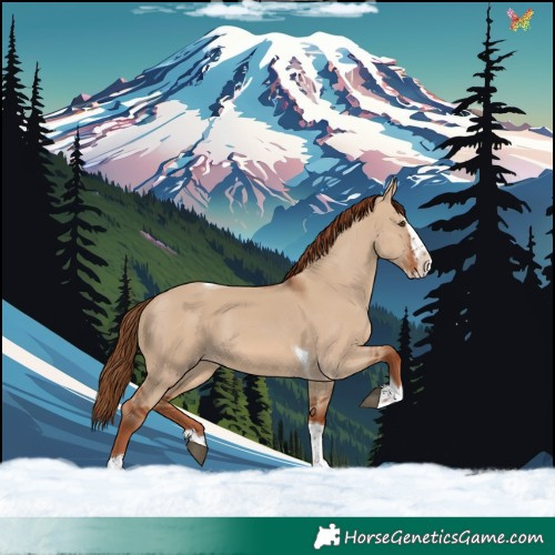 Horse Color:Red Dun Splash Tobiano 