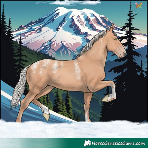 Horse Color:Powder White Silver Amber Champagne 