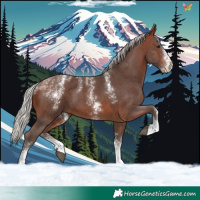 Horse Color:Powder White Silver Brown Sabino 