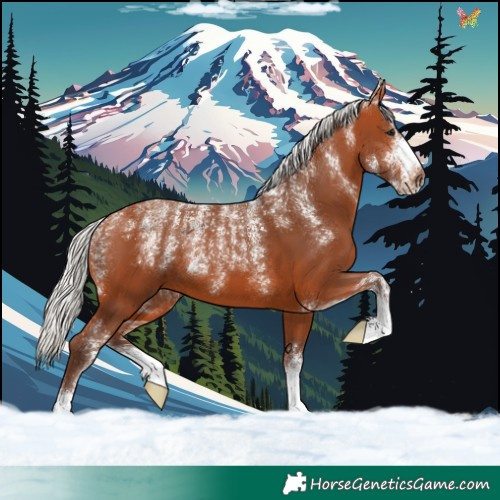 Horse Color:Powder White Silver Bay 