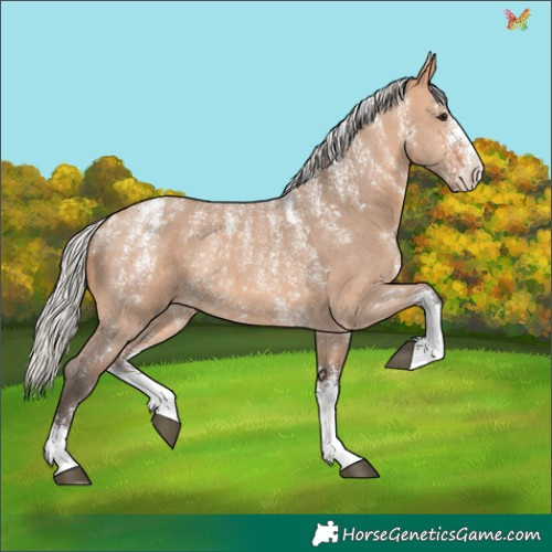 Horse Color:Powder White Silver Brown Dun Sabino Rabicano 