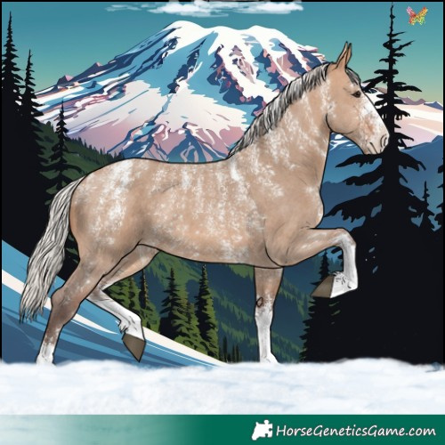 Horse Color:Powder White Silver Brown Dun Sabino Rabicano