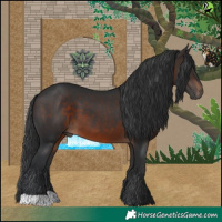 Horse Color:Brown 