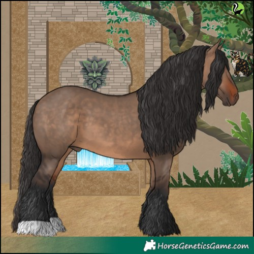 Horse Color:Brown Dun 