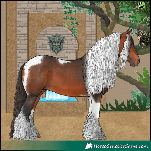 Horse Color:Bay Tobiano 