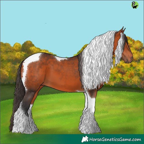 Horse Color:Bay Tobiano 