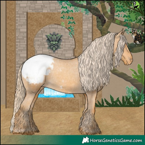 Horse Color:Gold Cream Champagne Appaloosa 